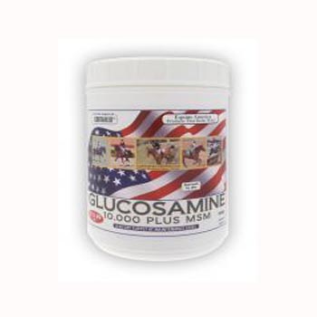Glucosamine 10,000