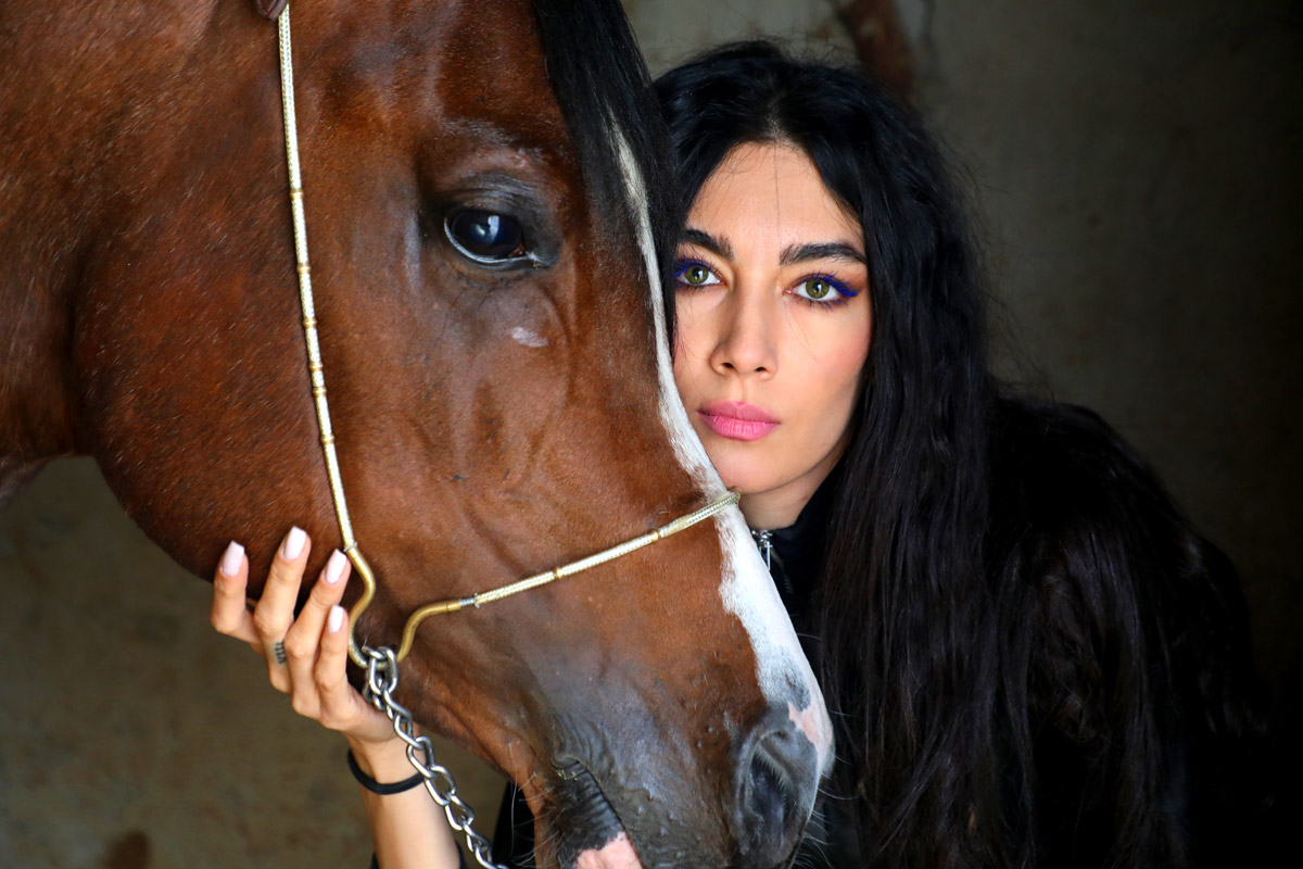 اسب عرب مصری سیلمی مجیک بوی
